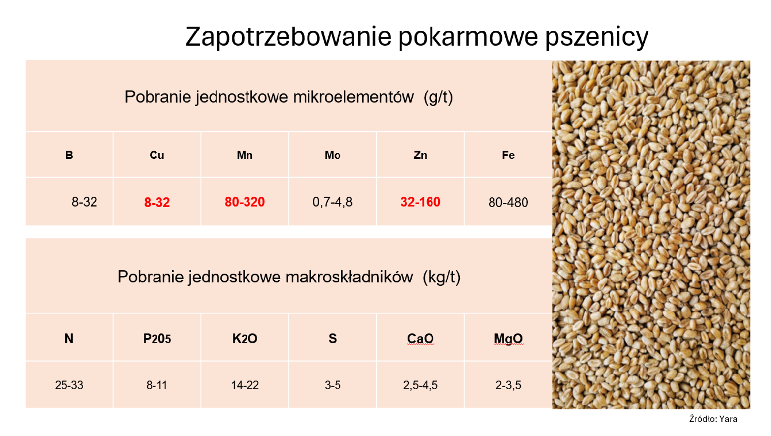 zapotrzebowanie pszenicy