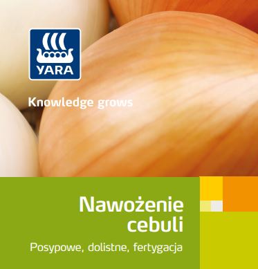 nawozenie cebuli