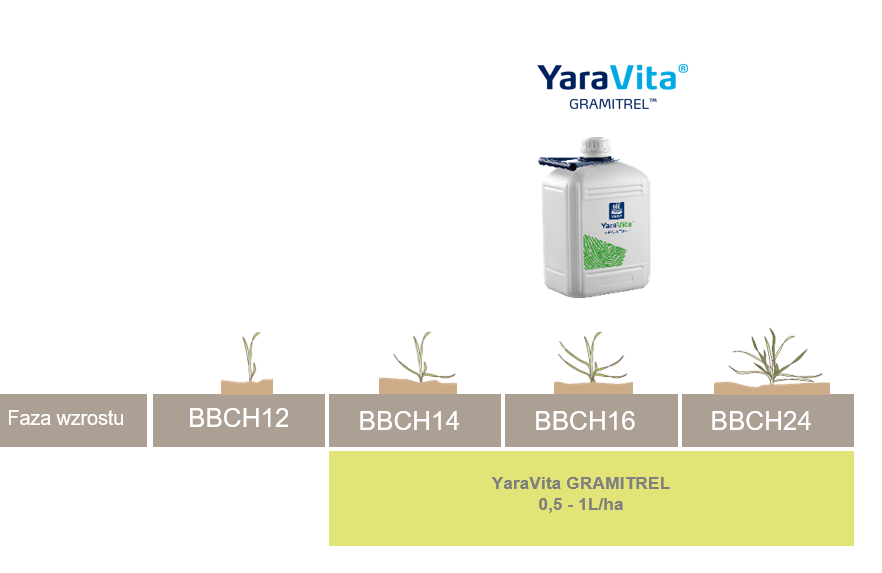 dawkowanie Gramitrel