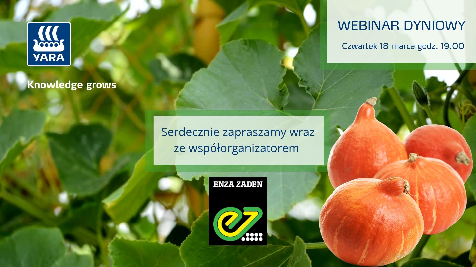 prezentacja DYNIOWY post.jpg