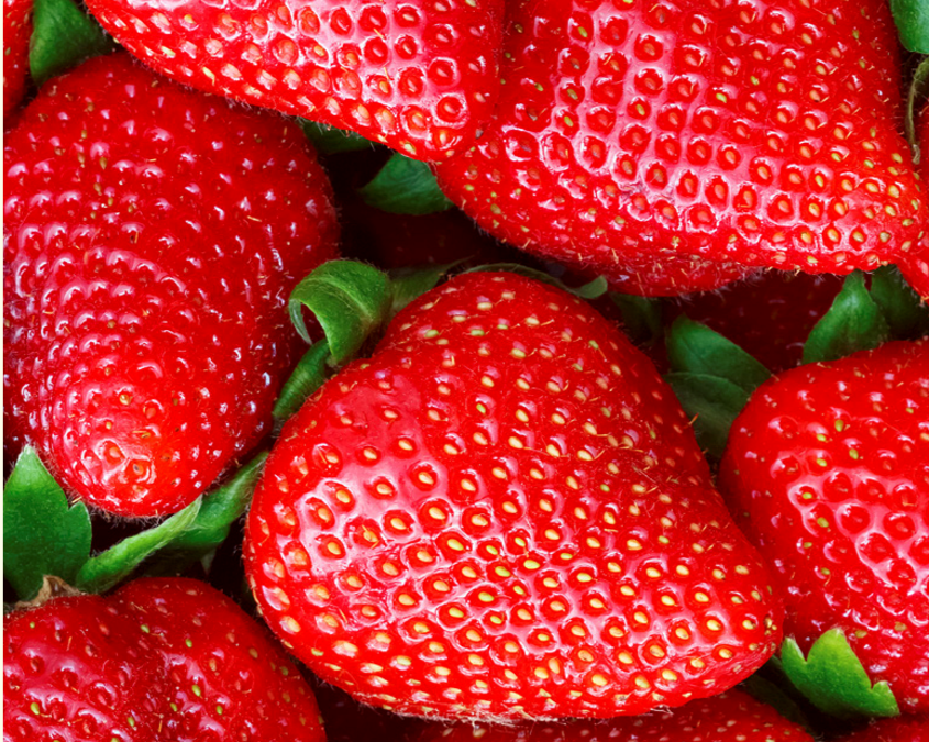 Trwała świeżość YaraLiva