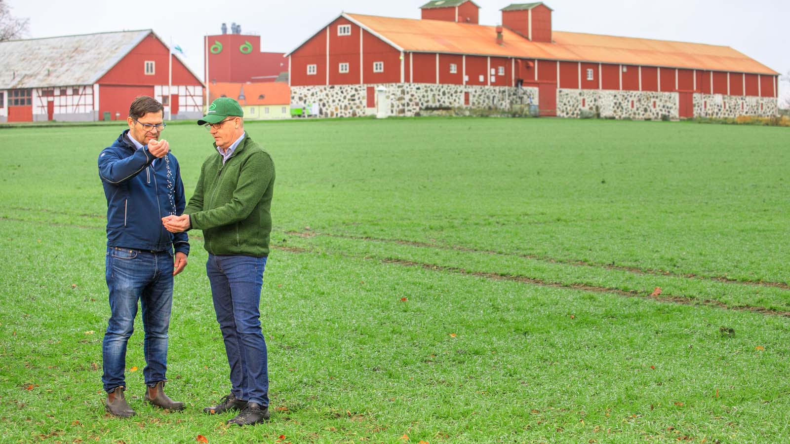 Partnerstwo Lantmannen i Yara 
