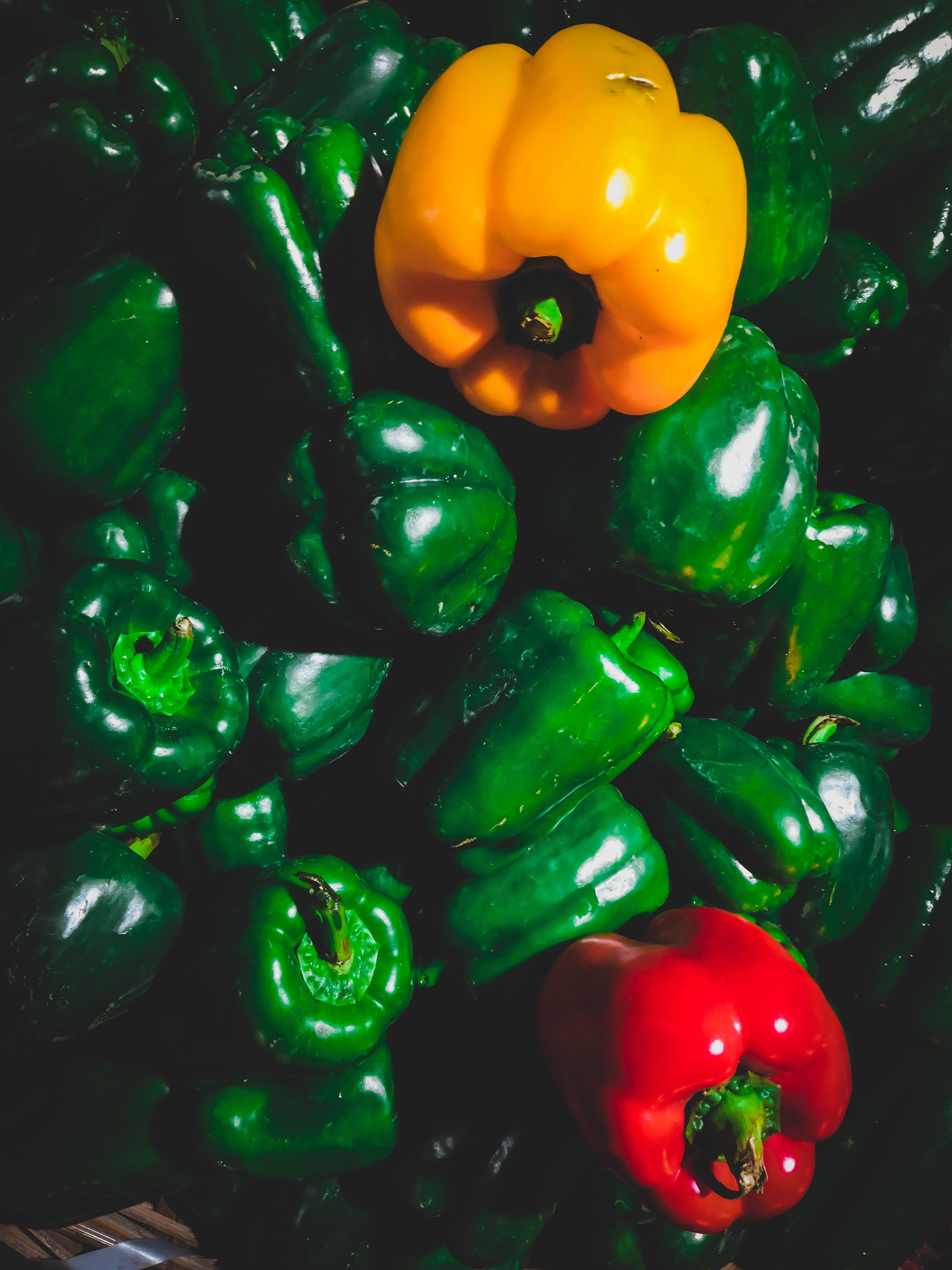 bell-peppers-close-up-colorful-1843385.jpg