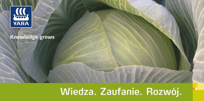 Yara baner kapusta big.jpg