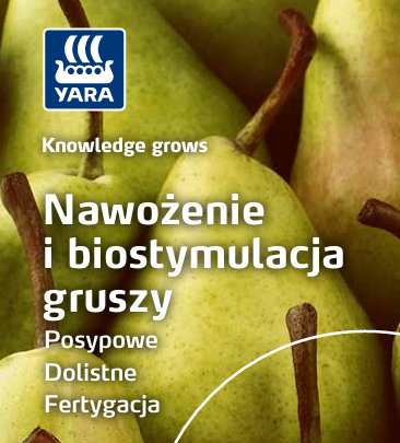 Broszura