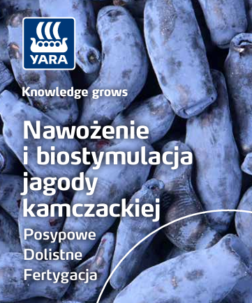 Broszura