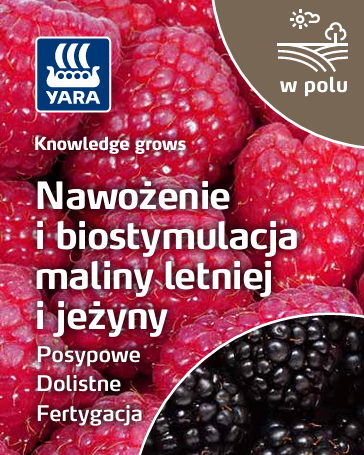 Broszura
