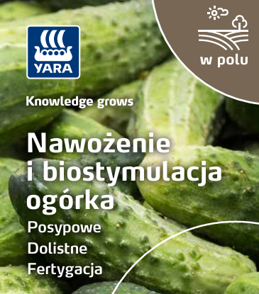 Broszura