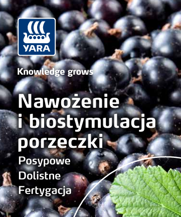 Broszura