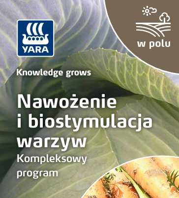 Broszura