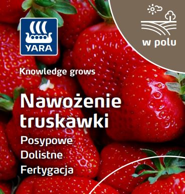 Broszura