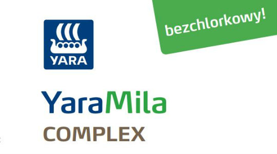Broszura