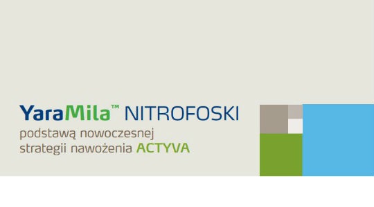 Broszura