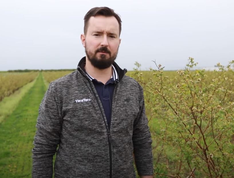 Film na kanale Youtube