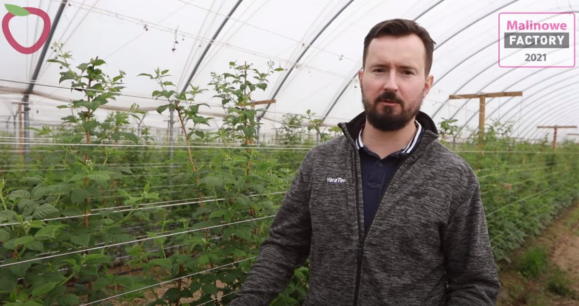 Film na kanale Youtube