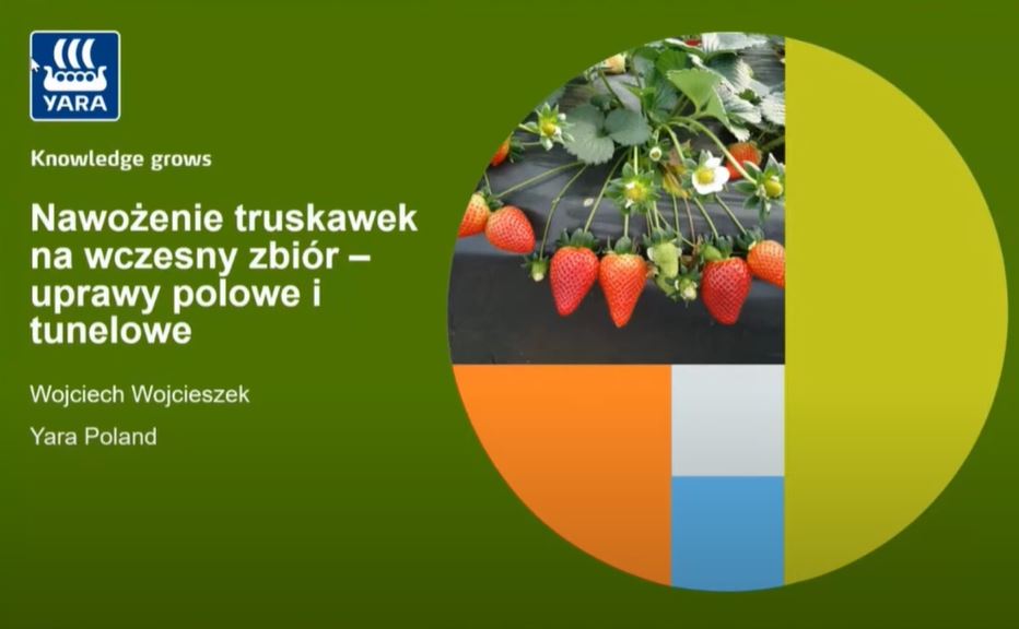 Film na kanale Youtube